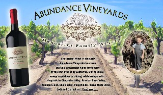 Abundance Vineyards